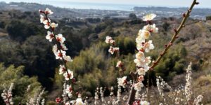 株式会社なかのビジネスサポートを設立しました